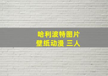 哈利波特图片壁纸动漫 三人